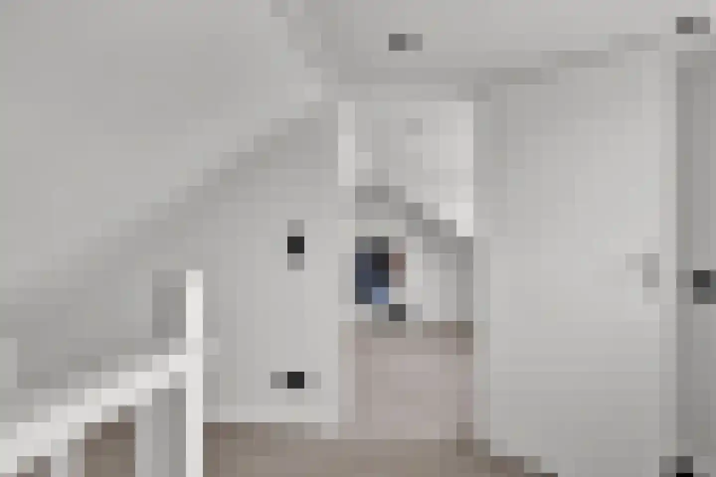 Ludgerusstraat 17 Balk thumbnail 30