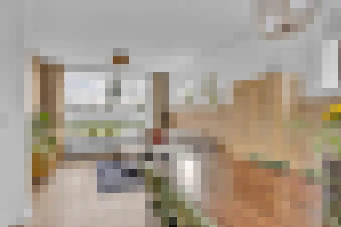 Ludgerusstraat 17 Balk thumbnail 7