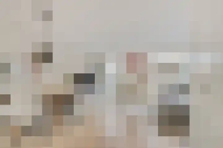 Ludgerusstraat 2 a Didam thumbnail 4