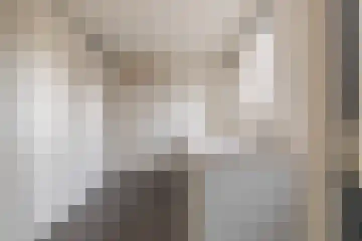 Ludgerusstraat 23 Balk thumbnail 14