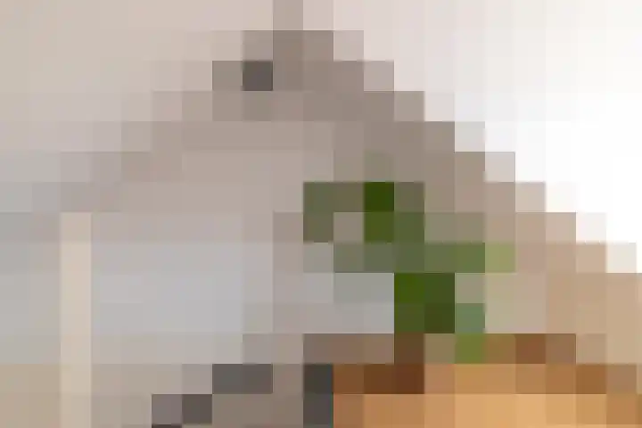 Ludgerusstraat 23 Balk thumbnail 25