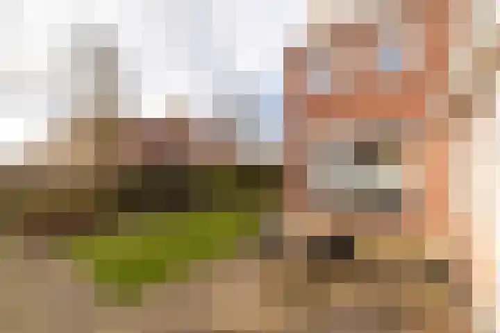 Ludgerusstraat 23 Balk thumbnail 28