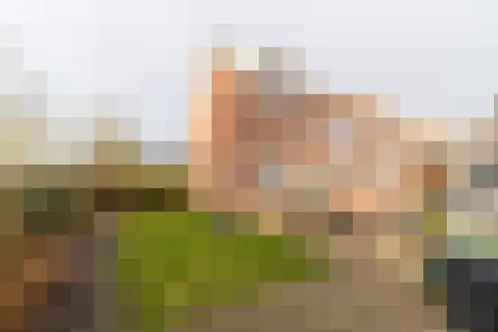 Ludgerusstraat 23 Balk thumbnail 31