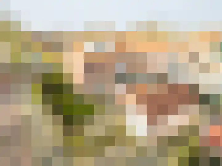Ludgerusstraat 23 Balk thumbnail 32