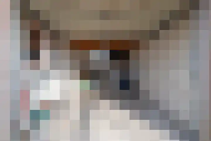 Ludgerusstraat 23 Balk thumbnail 34