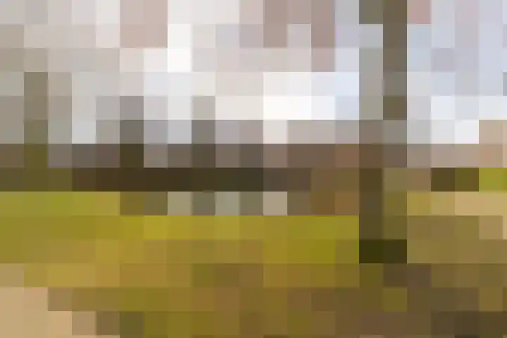 Ludgerusstraat 23 Balk thumbnail 35