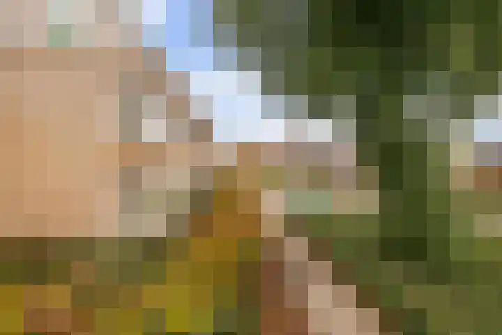 Ludgerusstraat 28 6 Didam thumbnail 28