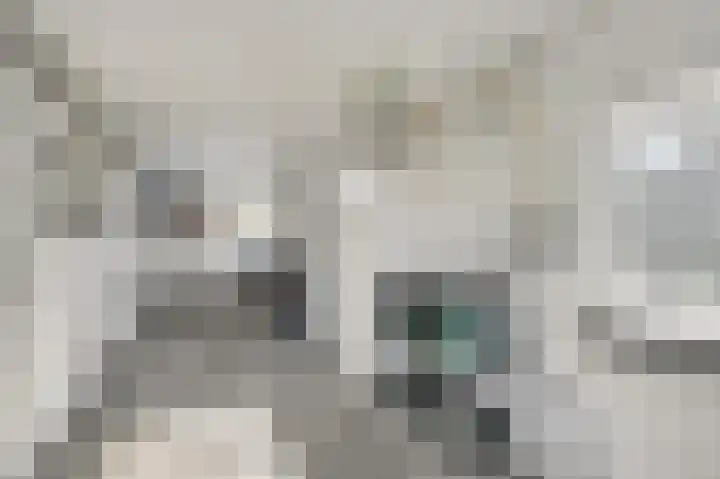 Ludgerusstraat 61 Didam thumbnail 11