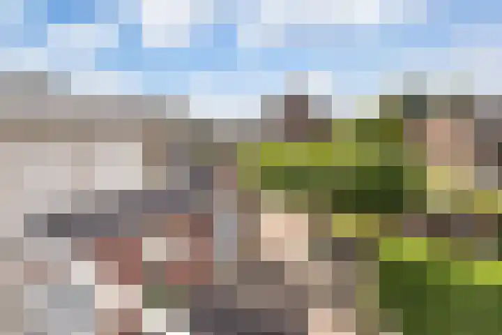 Ludgerusstraat 61 Didam thumbnail 23