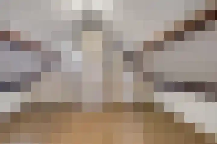Ludgerusstraat 61 Didam thumbnail 30