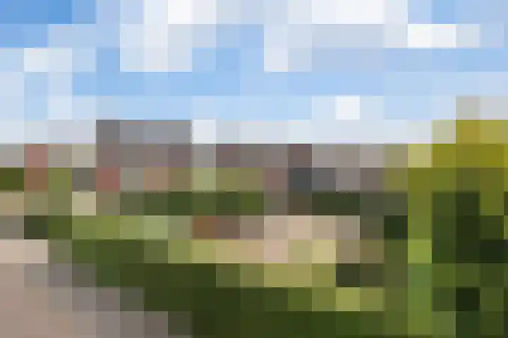 Ludgerusstraat 61 Didam thumbnail 32