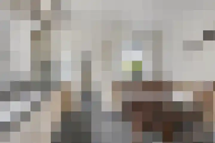Ludgerusstraat 61 Didam thumbnail 7