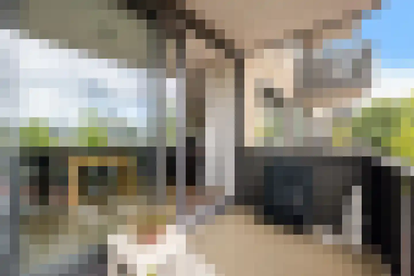 Ludinga 73 Leeuwarden thumbnail 10