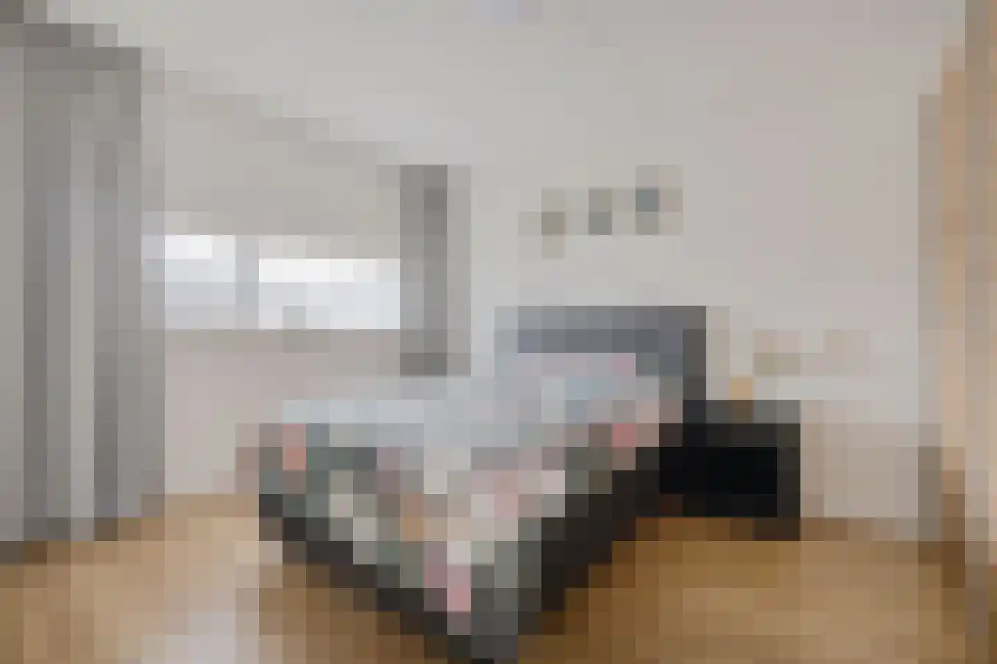 Ludinga 73 Leeuwarden thumbnail 17