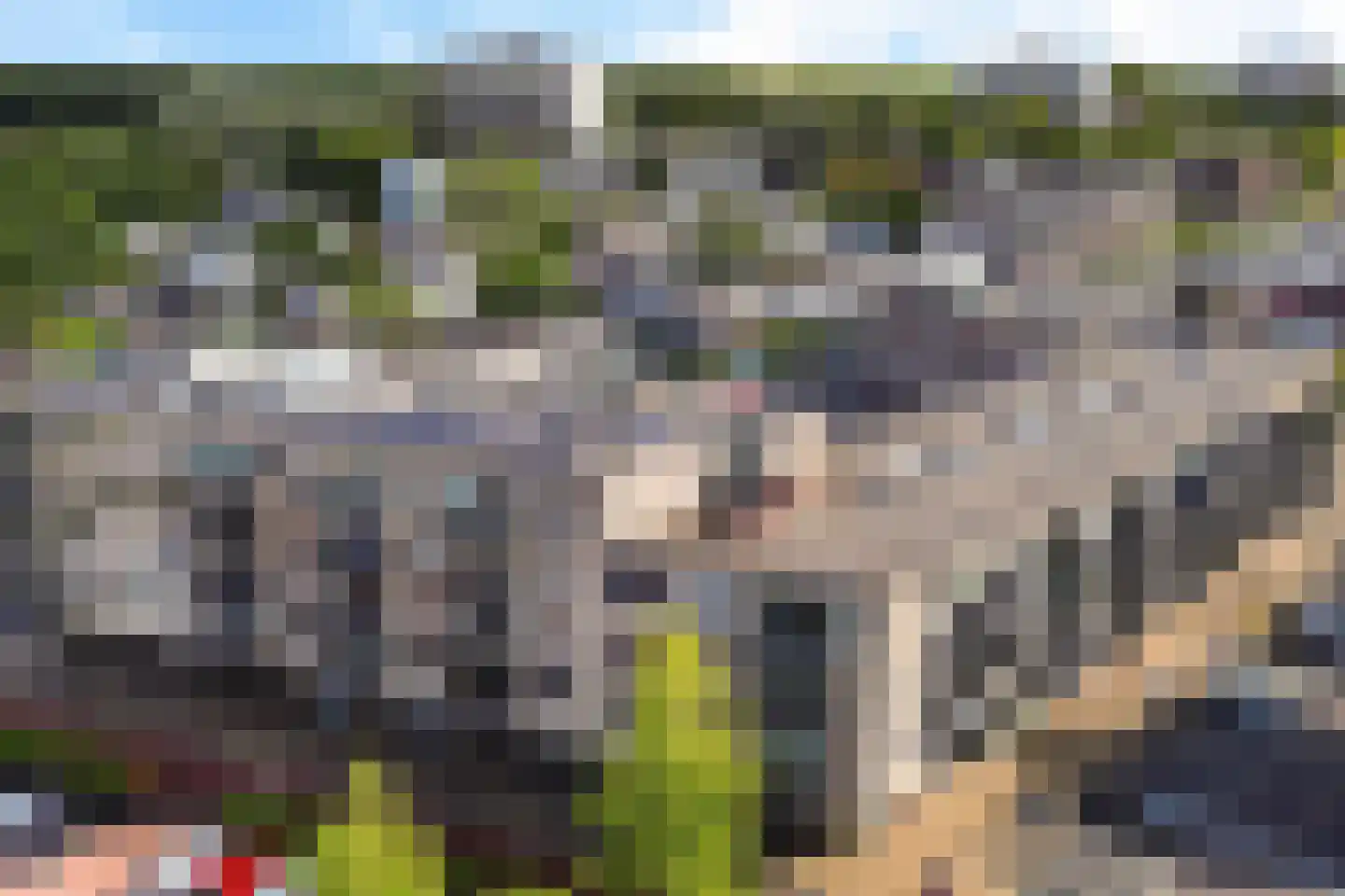 Ludinga 73 Leeuwarden thumbnail 30