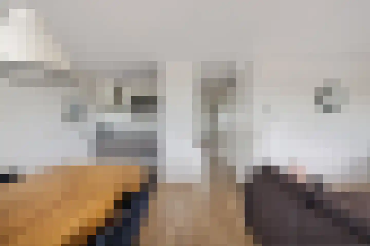 Ludinga 73 Leeuwarden thumbnail 6