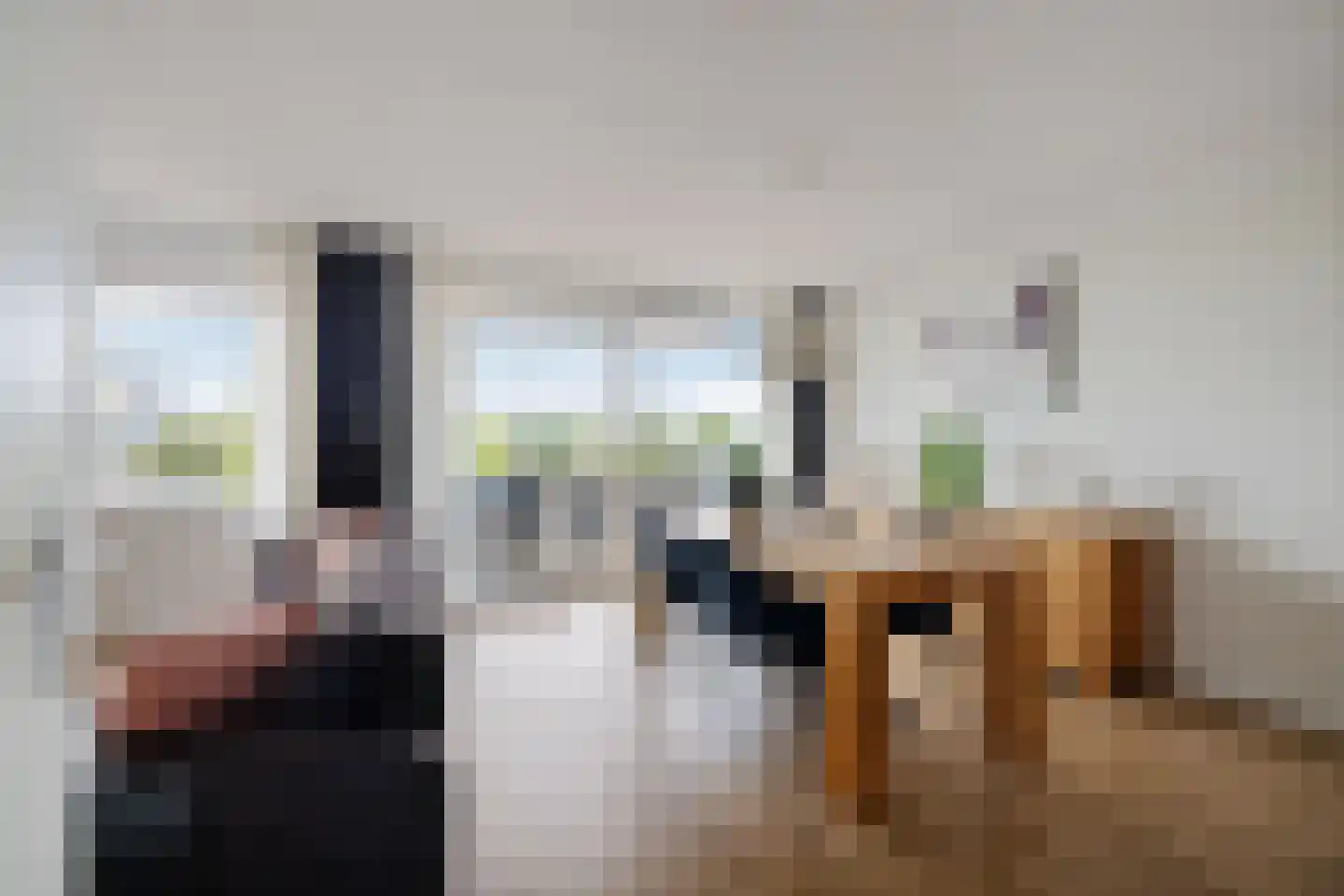 Ludinga 73 Leeuwarden thumbnail 8