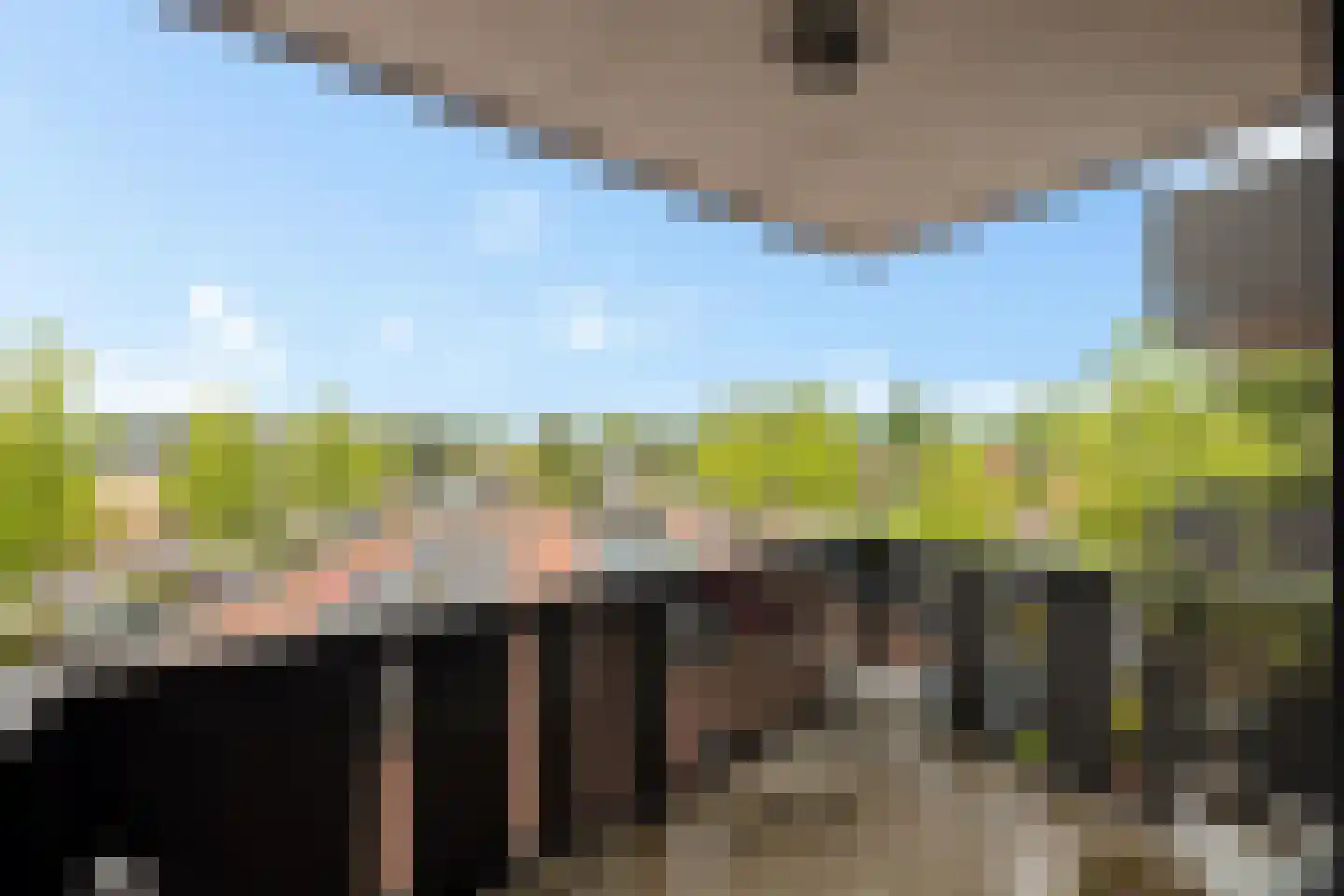 Ludinga 73 Leeuwarden thumbnail 9