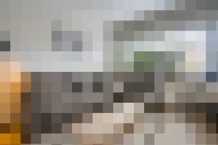 Ludolph Berkemeierstraat 6 Noordwijk thumbnail 6