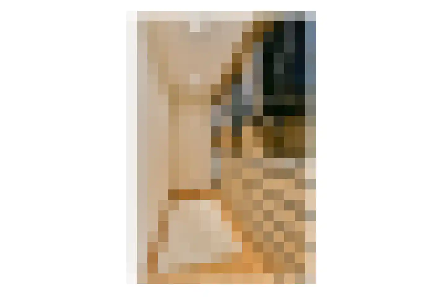 Ludolph Bohlenstraat 16 Voorhout thumbnail 22