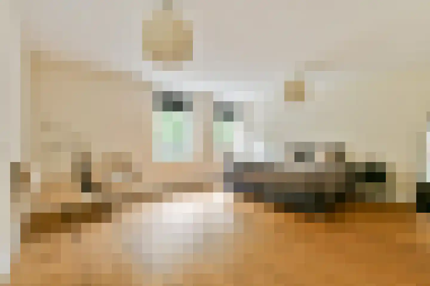 Ludolph Bohlenstraat 16 Voorhout thumbnail 23