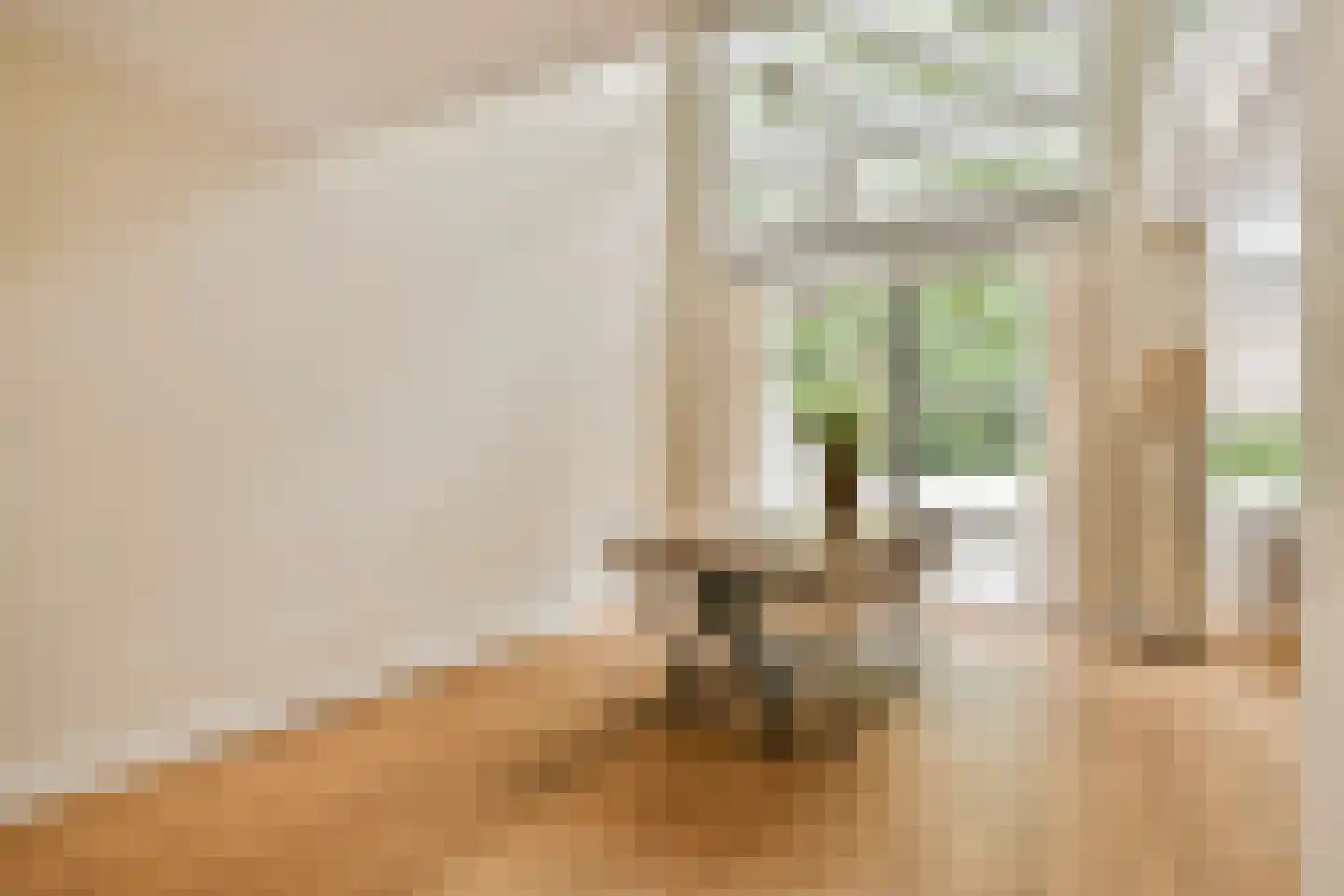 Ludolph Bohlenstraat 16 Voorhout thumbnail 4