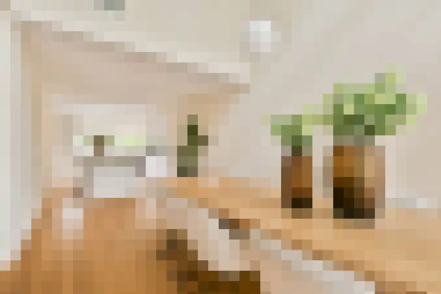 Ludolph Bohlenstraat 16 Voorhout thumbnail 6