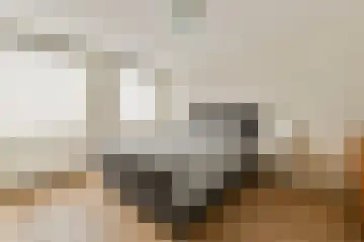 Ludolph Bohlenstraat 21 Voorhout thumbnail 15