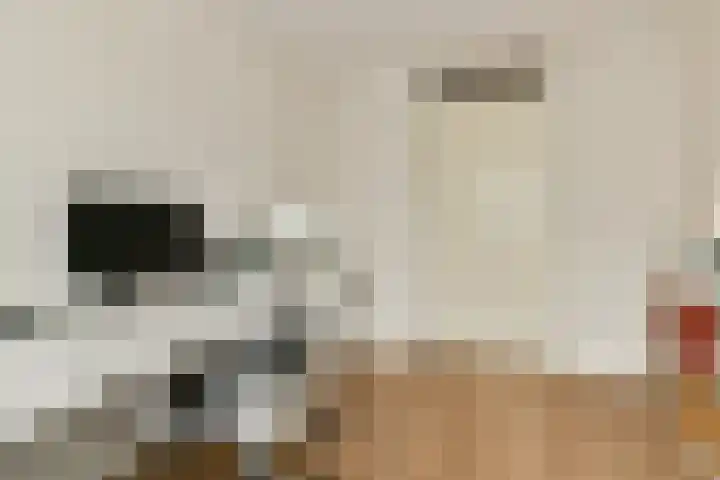 Ludolph Bohlenstraat 21 Voorhout thumbnail 18
