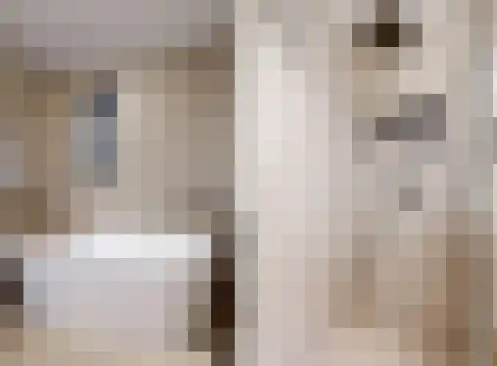 Ludolph Bohlenstraat 33 Voorhout thumbnail 4