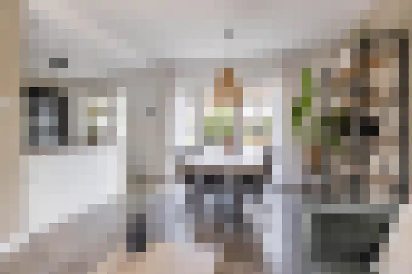 Ludolphusstraat 12 Bolsward thumbnail 19