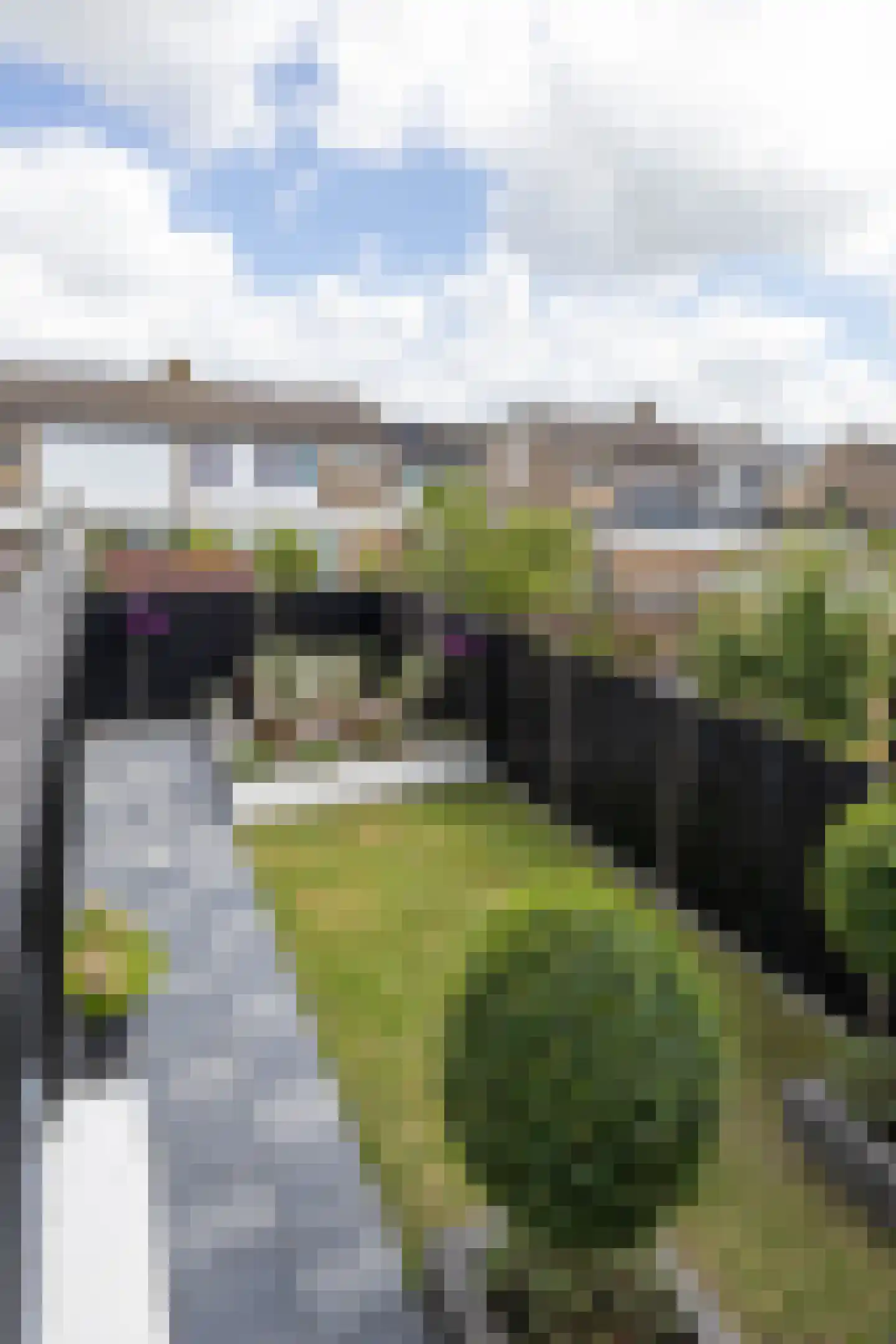 Ludolphusstraat 12 Bolsward thumbnail 41