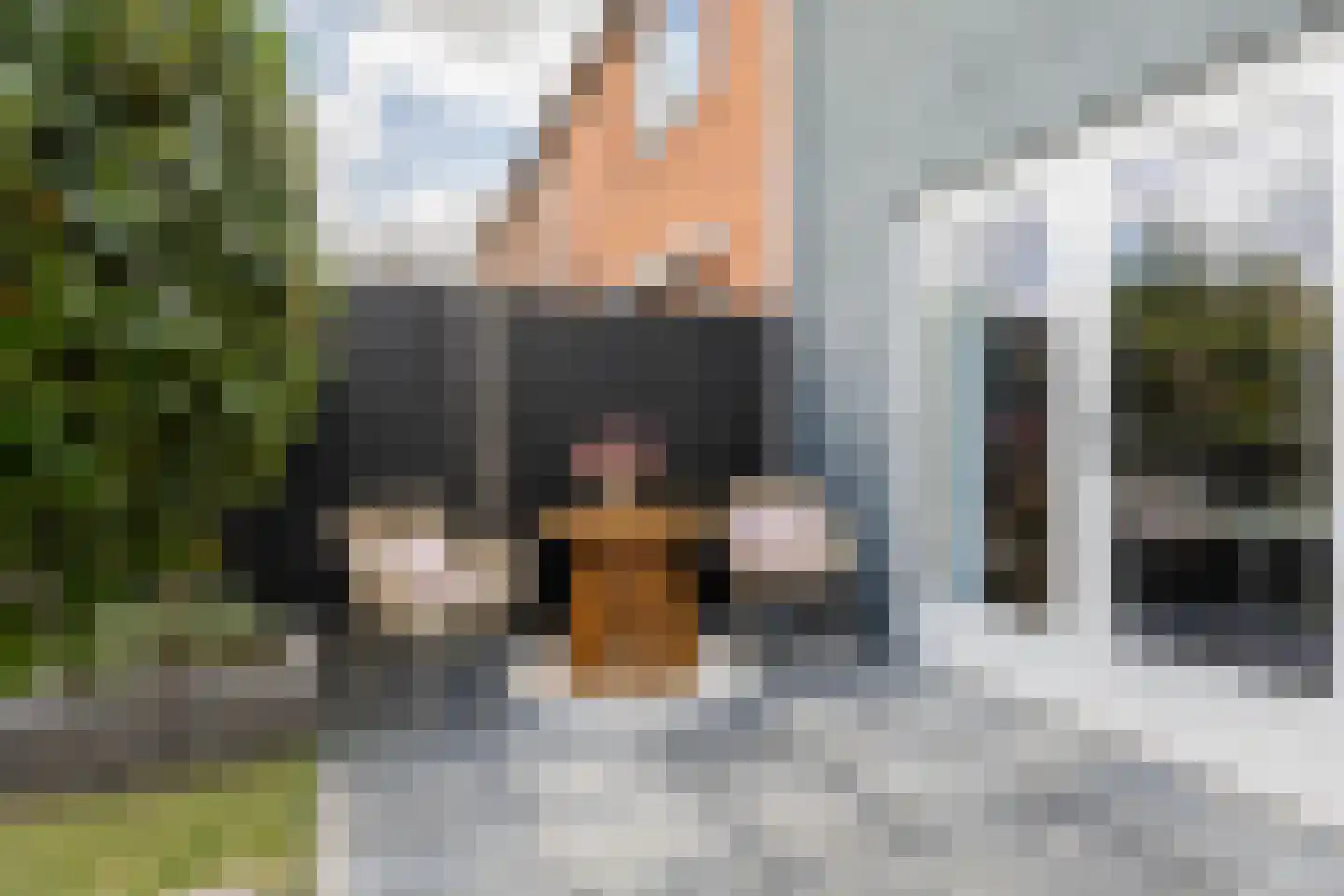 Ludolphusstraat 12 Bolsward thumbnail 49