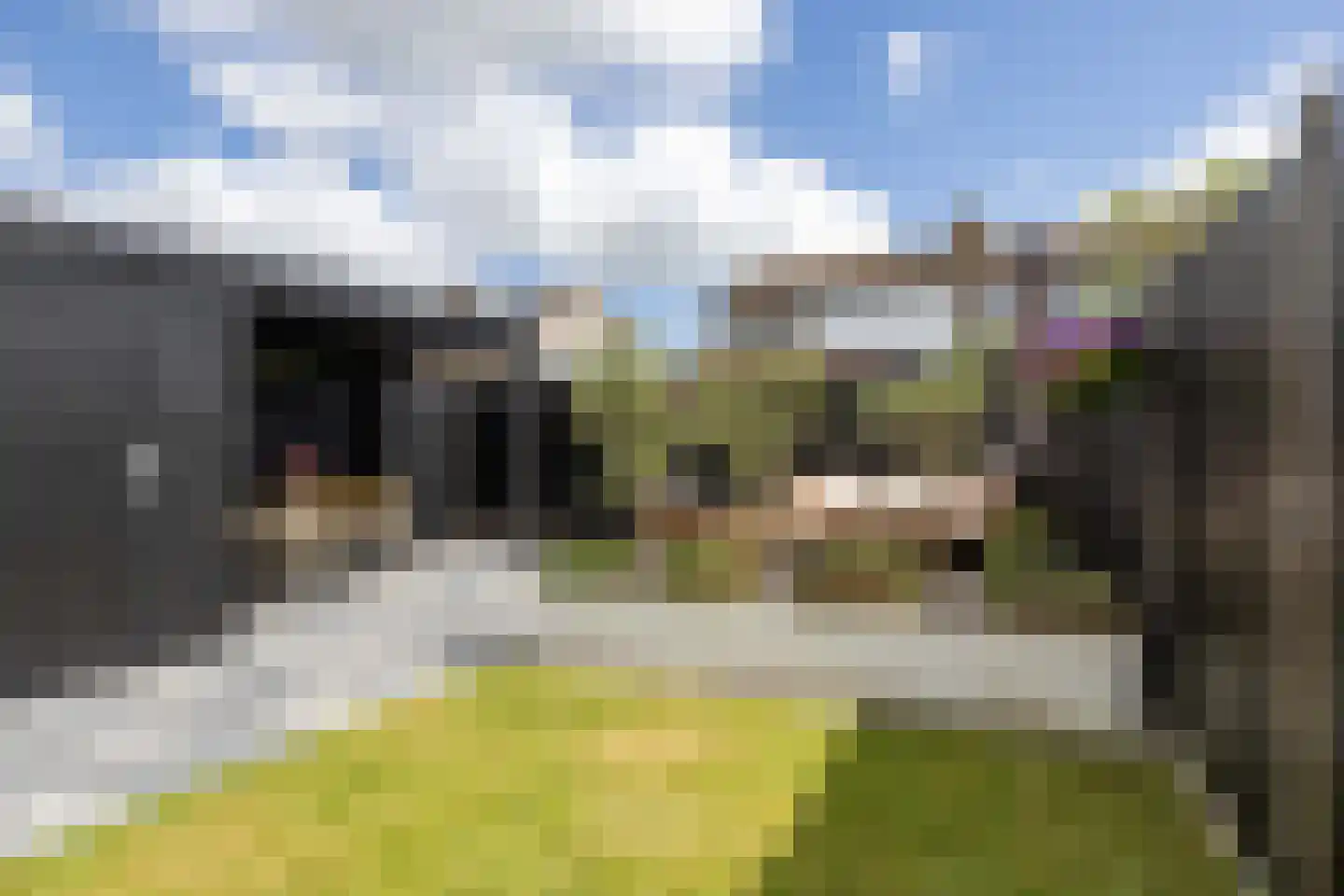 Ludolphusstraat 12 Bolsward thumbnail 51