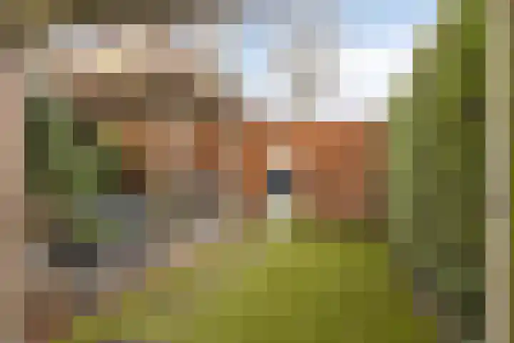 Ludwigstraat 13 Roosendaal thumbnail 43