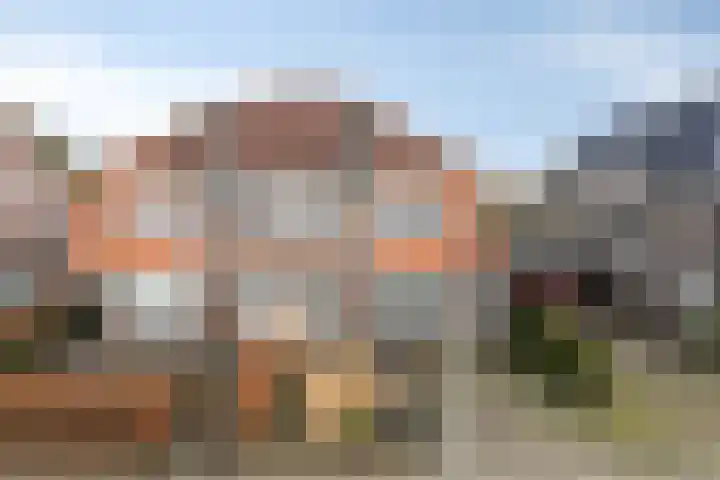 Ludwigstraat 13 Roosendaal thumbnail 5