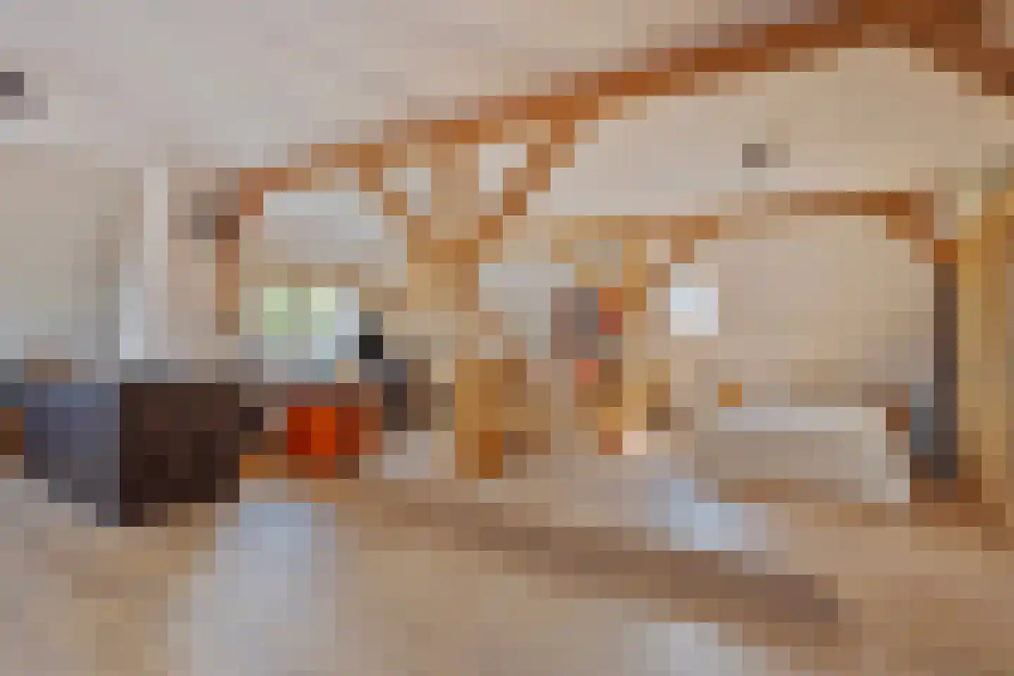 Ludwigstraat 15 Roosendaal thumbnail 34