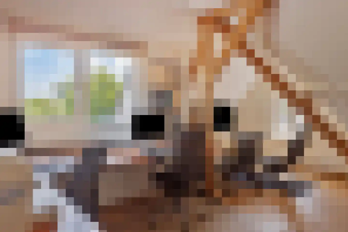 Ludwigstraat 15 Roosendaal thumbnail 36