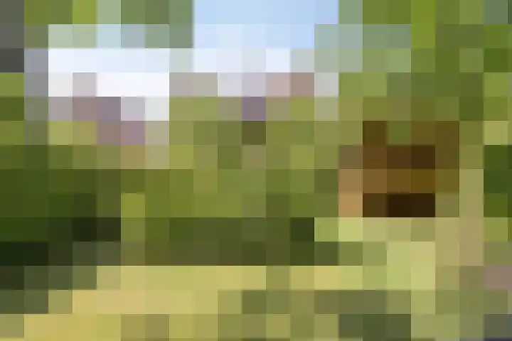 Ludwigstraat 7 a Roosendaal thumbnail 33