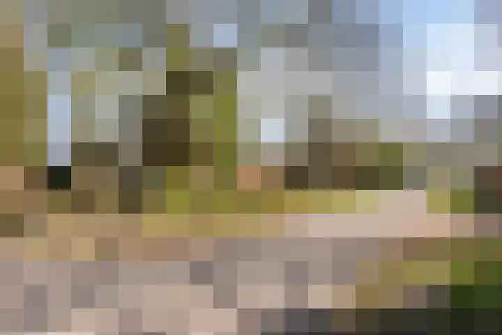 Lugtenbergerweg 10 Eelde thumbnail 10