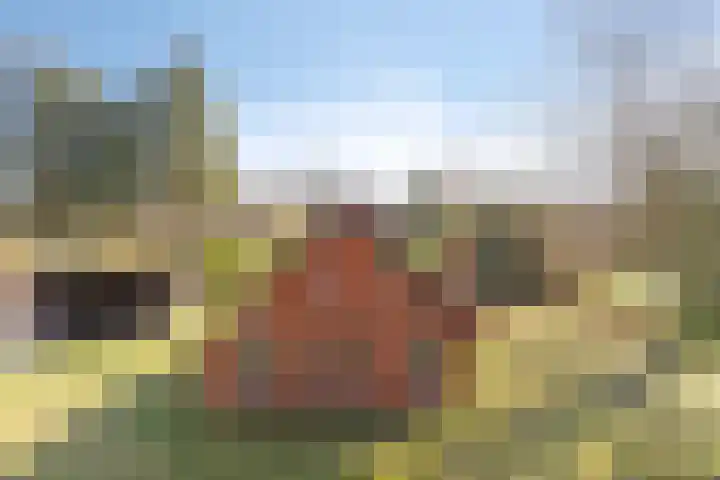 Lugtenbergerweg 10 Eelde thumbnail 11