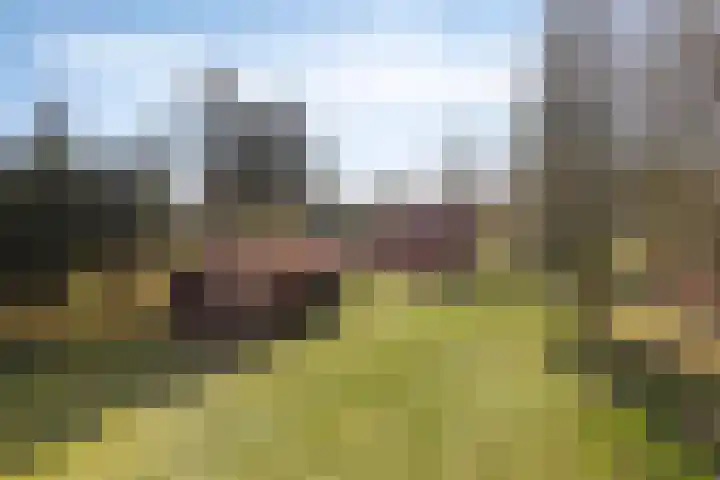 Lugtenbergerweg 10 Eelde thumbnail 12