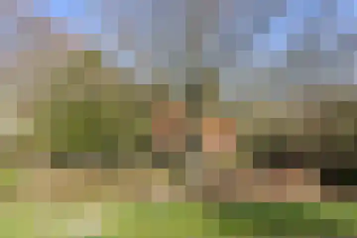 Lugtenbergerweg 10 Eelde thumbnail 13