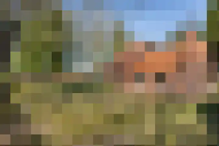 Lugtenbergerweg 10 Eelde thumbnail 31