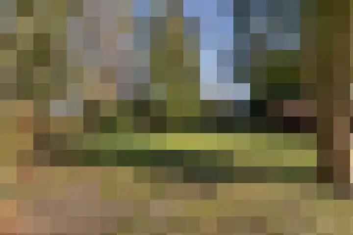 Lugtenbergerweg 10 Eelde thumbnail 32