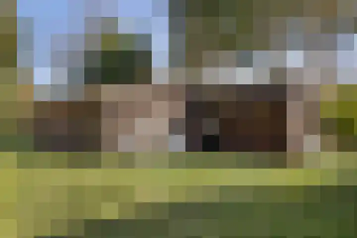 Lugtenbergerweg 10 Eelde thumbnail 33