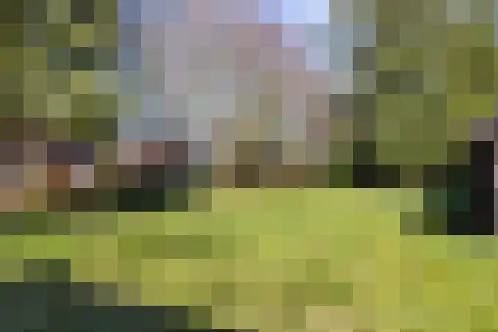 Lugtenbergerweg 10 Eelde thumbnail 34