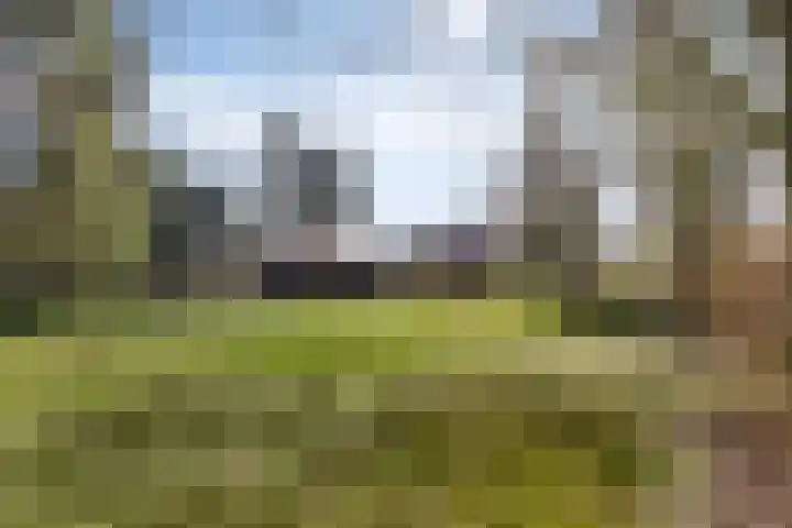 Lugtenbergerweg 10 Eelde thumbnail 35