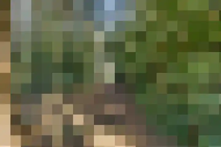 Lugtenbergerweg 10 Eelde thumbnail 36