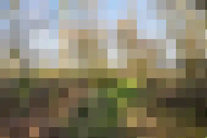 Lugtenbergerweg 10 Eelde thumbnail 37